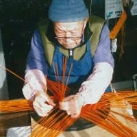 勝城 蒼鳳